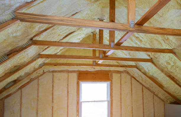 Best Insulation for Specific Applications in Central Gardens, TX