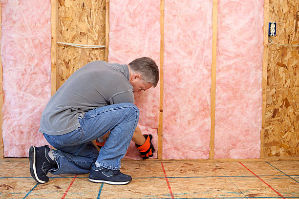 Best Commercial Insulation in Central Gardens, TX